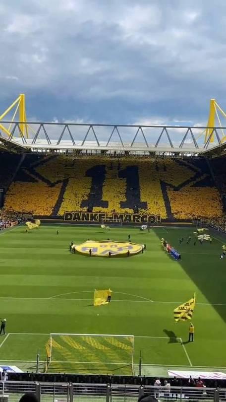 斯图加特已做好迎战多特蒙德的准备的简单介绍