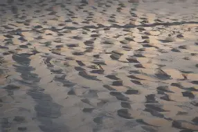 沙尔克艰难取胜，卫冕之路何在？